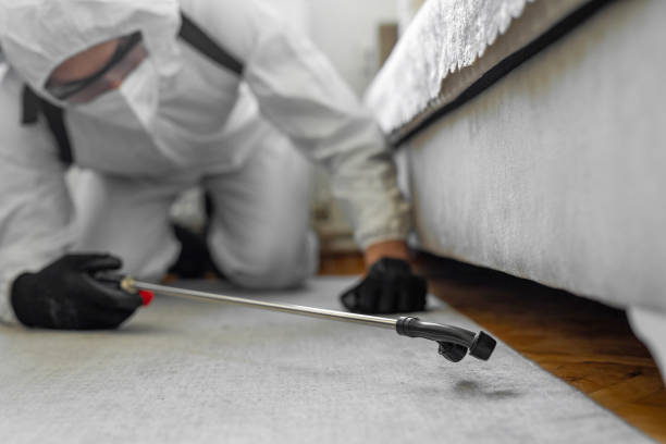 Professional Bed Bug Control technician working in Atlantic Highlands, NJ