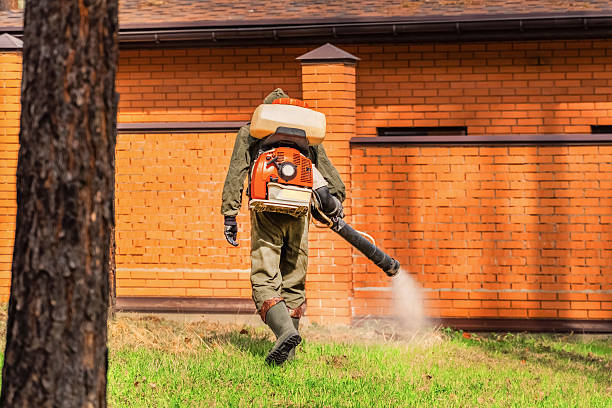 Trusted Termite Control service in Atlantic Highlands, NJ - Nex Pest Control